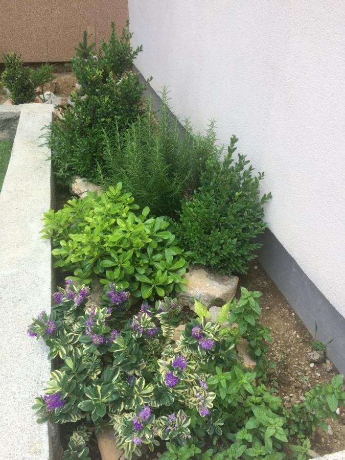Apartment צזריקה מראה חיצוני תמונה